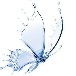 Meet your Posher, Willie mae